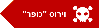 וירוס כופר - הגנה עם איירון פורט